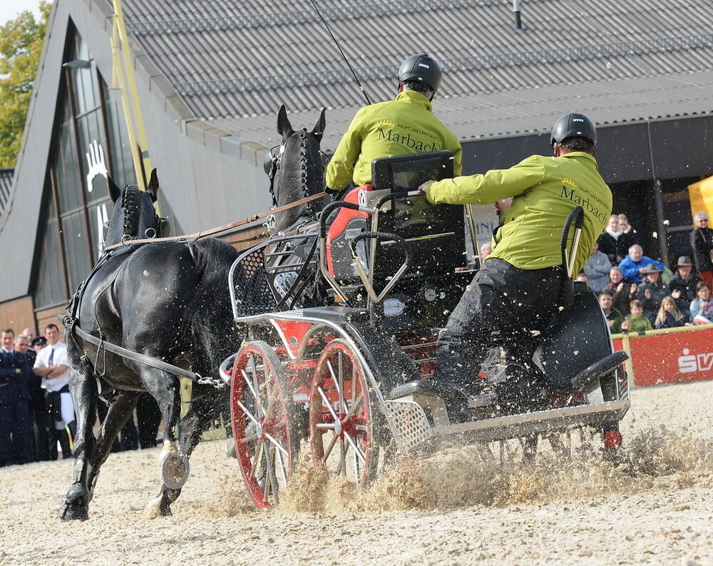 Hengstparade Marbach September 2013