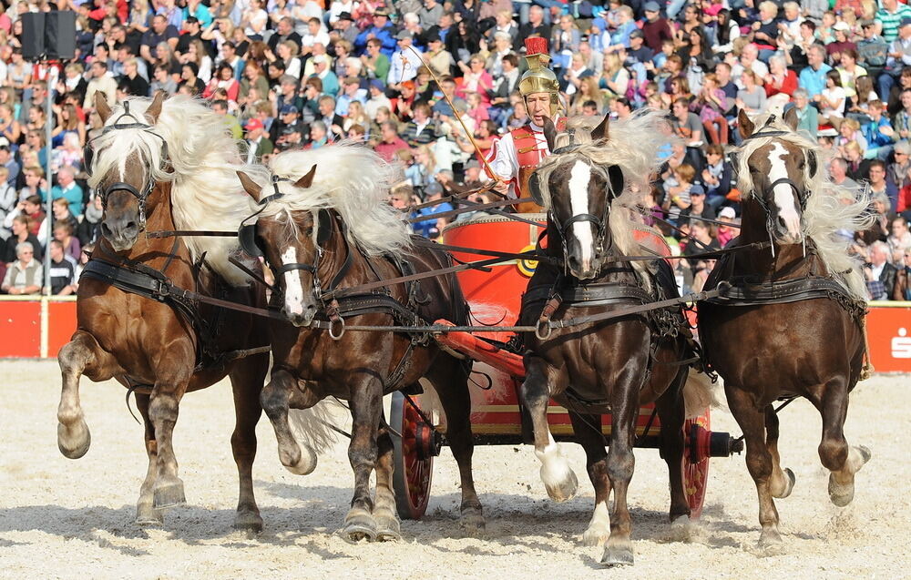 Hengstparade Marbach September 2013