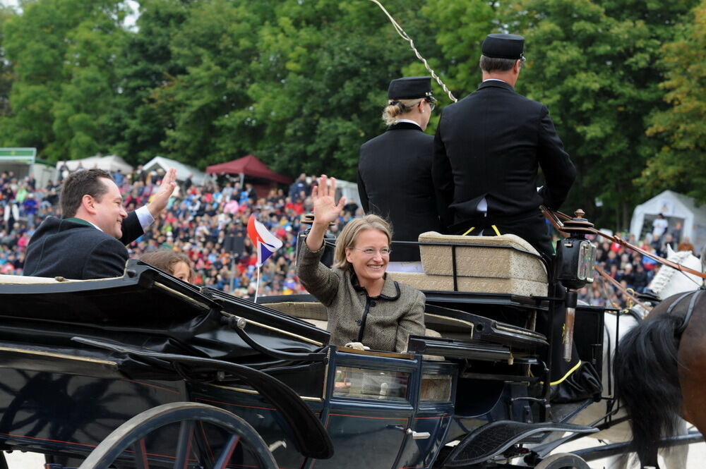 Hengstparade Marbach September 2013