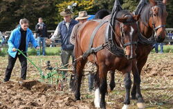 Fuhrmannstag Pliezhausen 2013