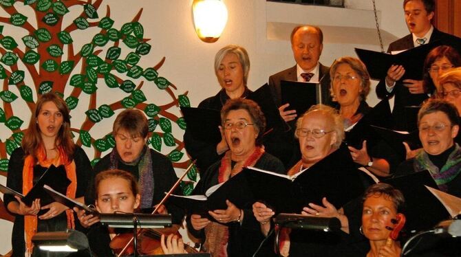 Die Akteure des Abends, ganz links Solistin Julia Hinger.  FOTO: LEIPPERT