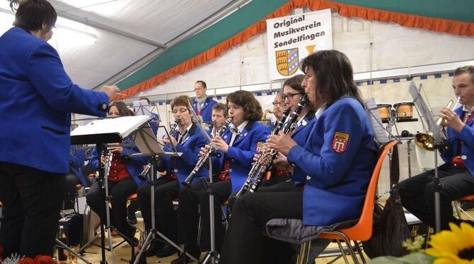 Blasmusik gehört beim Sondelfinger Weinfest zum guten Ton. FOTO: ANTZ