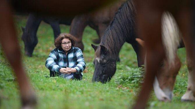 Mithilfe von Pferden trainiert Persönlichkeitscoach Karin Walz bei ihren Kunden Autorität, Durchsetzungsvermögen und Klarheit.