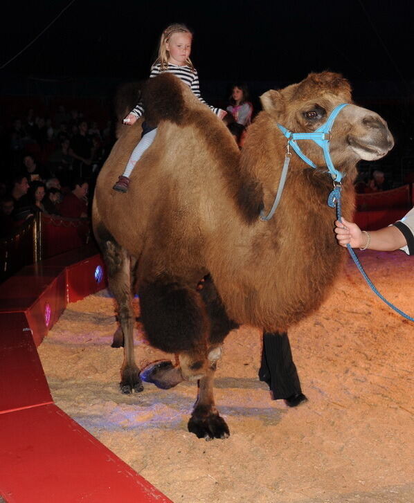 Zirkus Charles Knie Reutlingen 2013