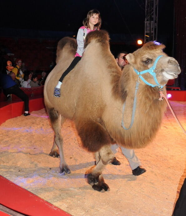 Zirkus Charles Knie Reutlingen 2013