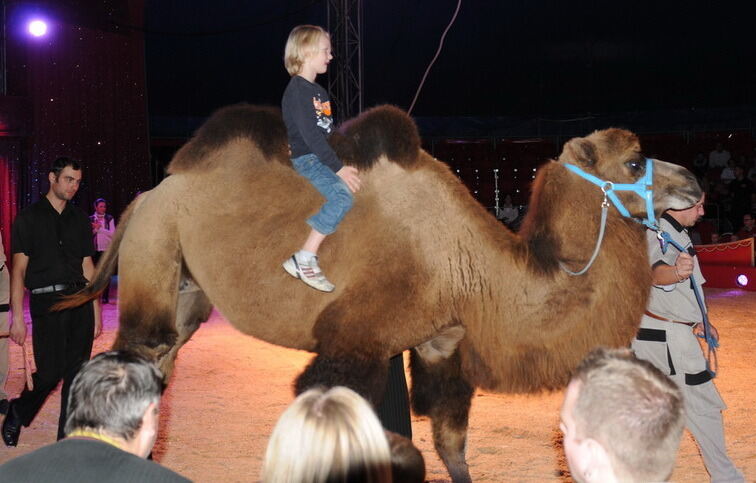 Zirkus Charles Knie Reutlingen 2013