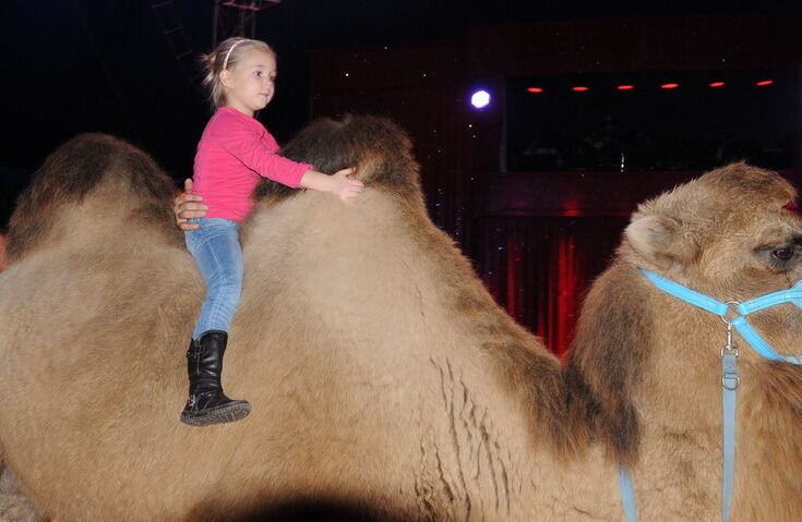 Zirkus Charles Knie Reutlingen 2013