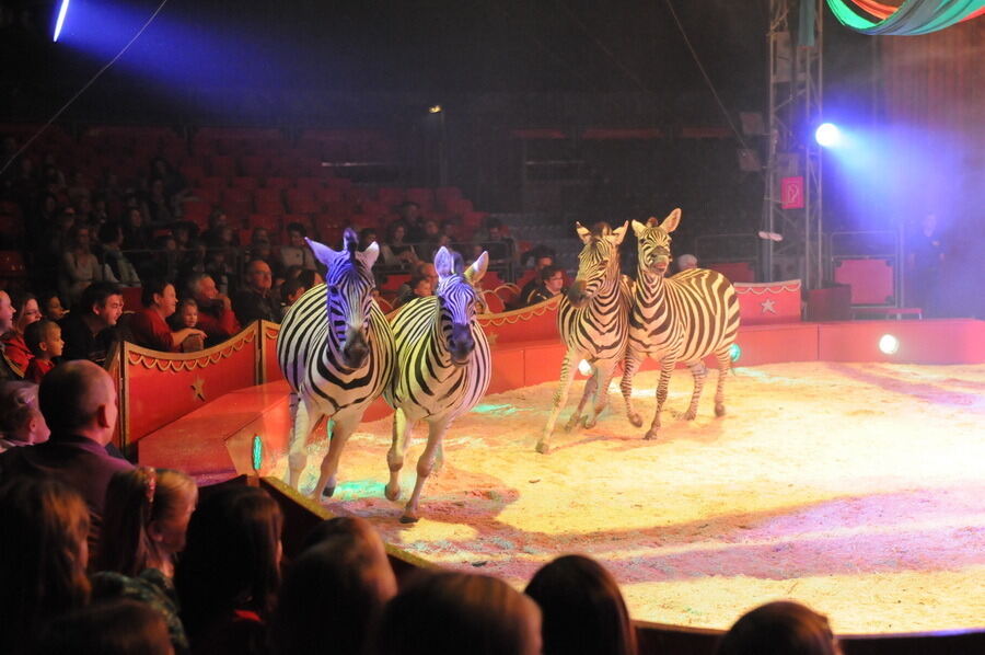 Zirkus Charles Knie Reutlingen 2013