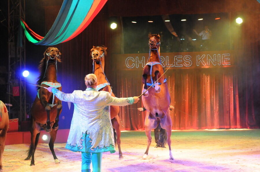 Zirkus Charles Knie Reutlingen 2013