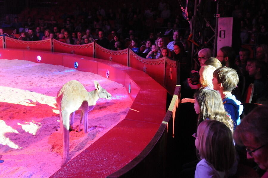 Zirkus Charles Knie Reutlingen 2013