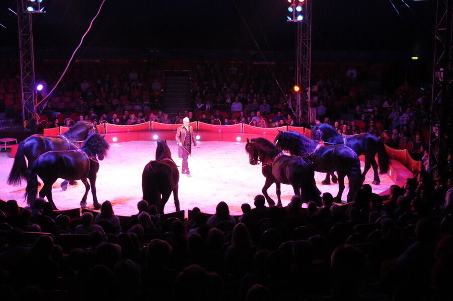 Zirkus Charles Knie Reutlingen 2013