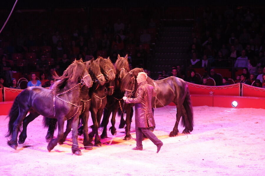 Zirkus Charles Knie Reutlingen 2013