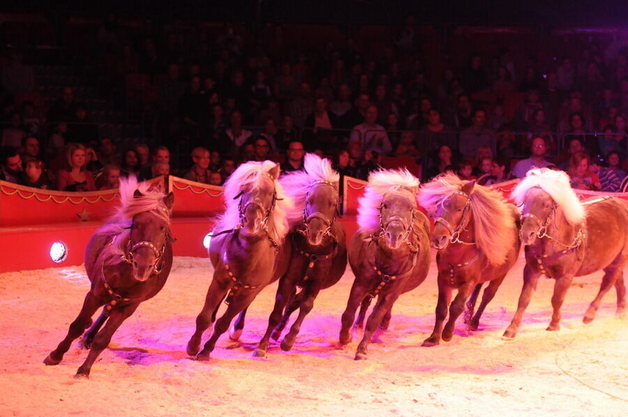 Zirkus Charles Knie Reutlingen 2013