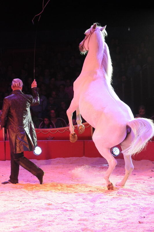 Zirkus Charles Knie Reutlingen 2013