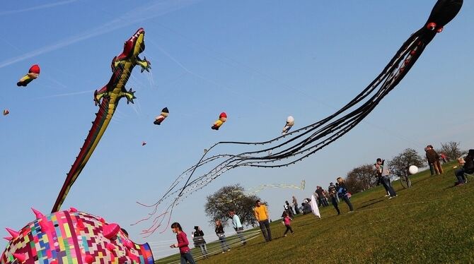 Fliegende Drachen über Hülben. FOTO: KOZJEK