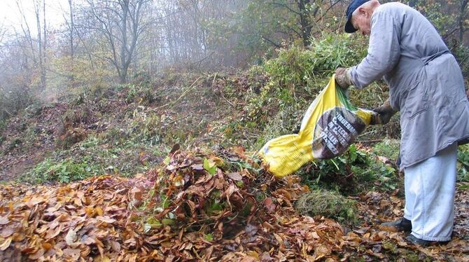 Einfach abliefern geht nicht mehr. Der Betrieb der Häckselplätze im Landkreis wird komplett umorganisiert. GEA-ARCHIVFOTO: SAUTT