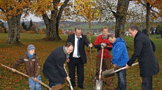 Bis die junge Linde – gepflanzt von Manuel Maier (Zweiter von links), Markus Bächle, Markus Hess, Dieter Stoll und Bürgermeister