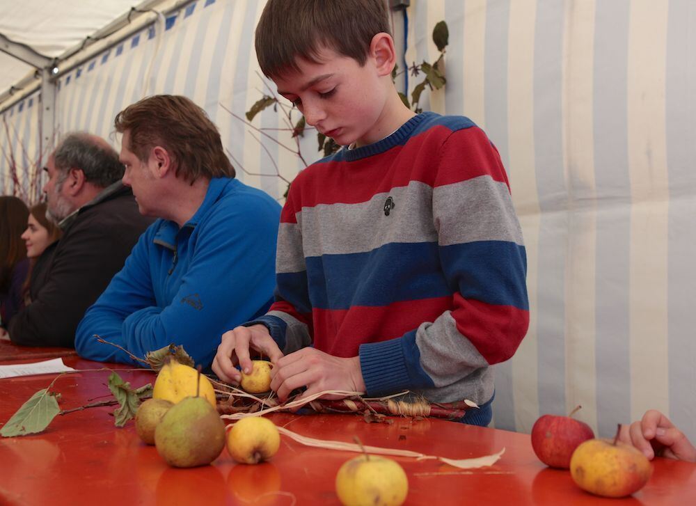 Schwäbisches Streuobstparadies Das Paradies brennt