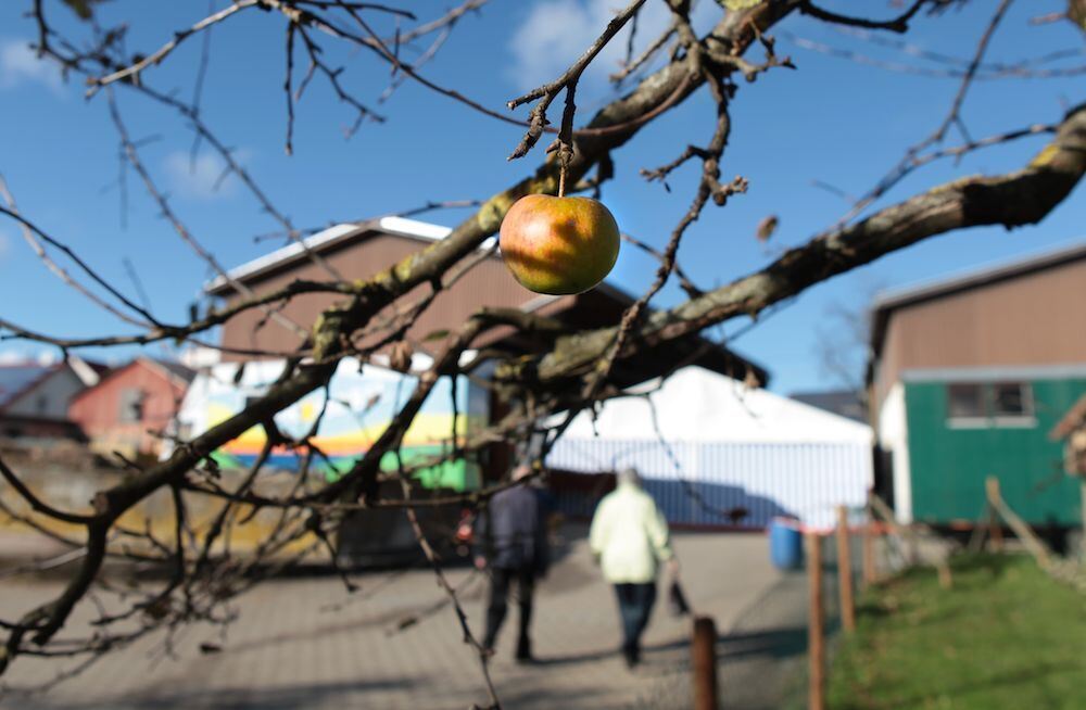 Schwäbisches Streuobstparadies Das Paradies brennt