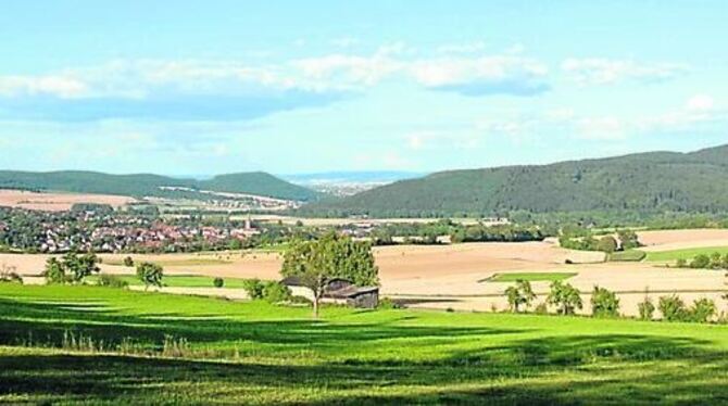 Der Nationalpark Kellerwald-Edersee ist einer der letzten großen Rotbuchenwälder Mitteleuropas. Einige der Bäume sind mehr als 1 000 Jahre alt.  FOTOS: PR