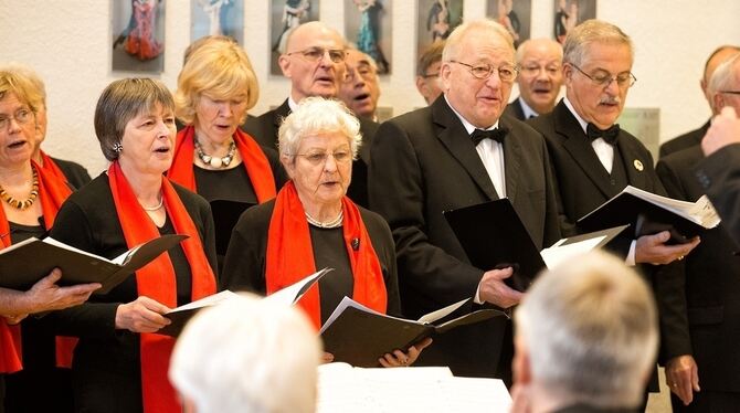 »Wellness für die Ohren« kam unter anderem vom gemischten Chor des Liederkranzes.  FOTO:  ZAWADIL