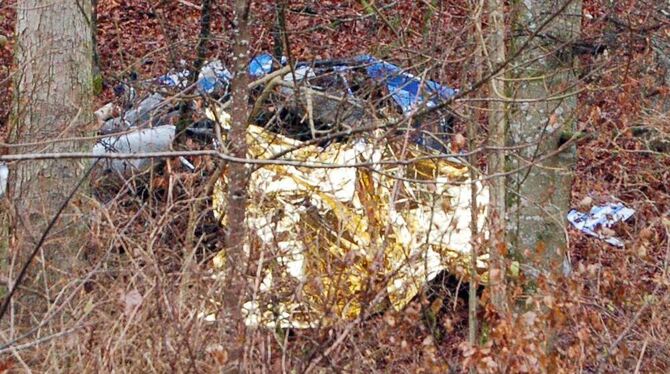 Das Wrack eines abgestürzten Hubschraubers liegt in einem Waldstück bei Neuhausen ob Eck. Zwei Menschen sind bei einem Hubschrau