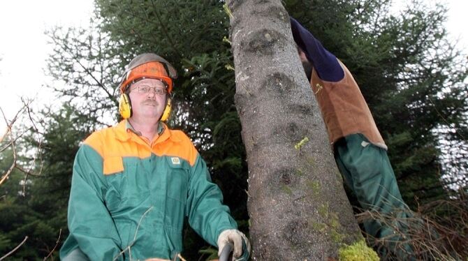 Bis die Hohensteiner Setzlinge so stattlich wie diese »Kanzlertanne« aus dem Schwarzwald werden, müssen mehrere Förster-Generati