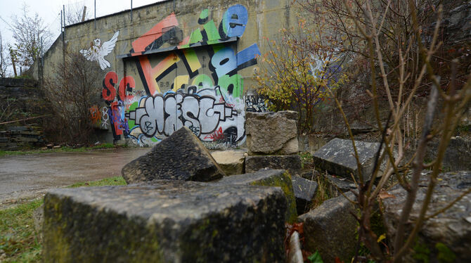 Ein alter Bunker steht in Mutlangen auf dem Gelände des ehemaligen Pershing-Raketen Standorts. Foto: dpa