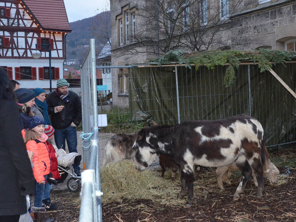 Weihnachtsmarkt Dettingen 2013