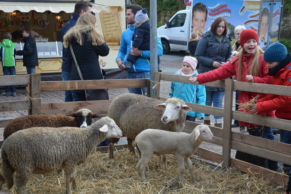 Weihnachtsmarkt Pliezhausen 2013