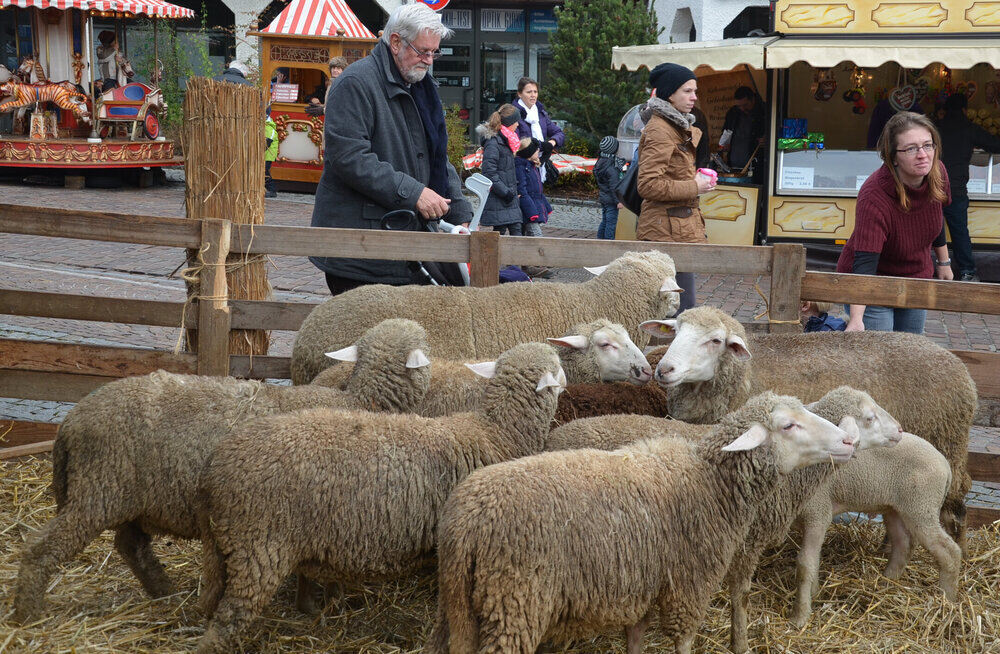 Weihnachtsmarkt Pliezhausen 2013