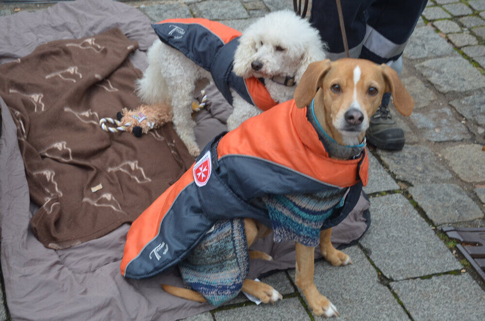 Weihnachtsmarkt Metzingen 2013