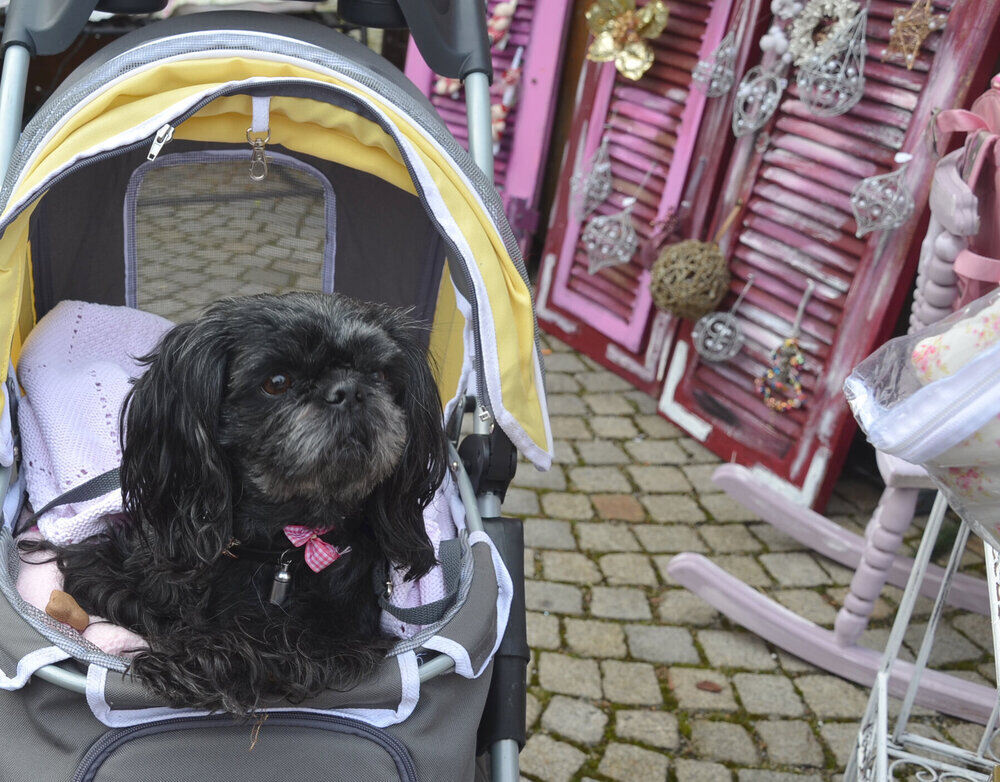 Weihnachtsmarkt Metzingen 2013