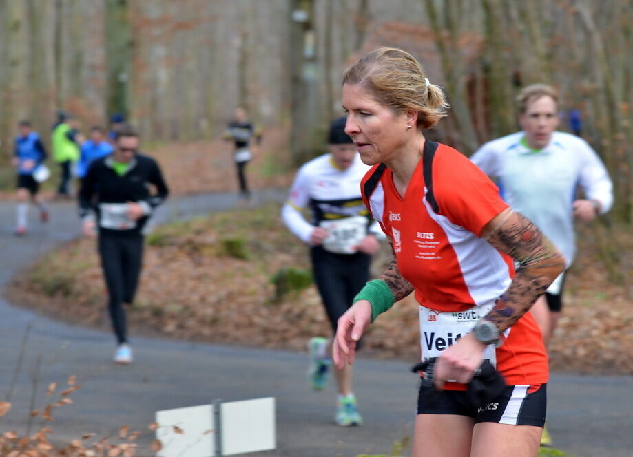 Nikolauslauf Tübingen 2013