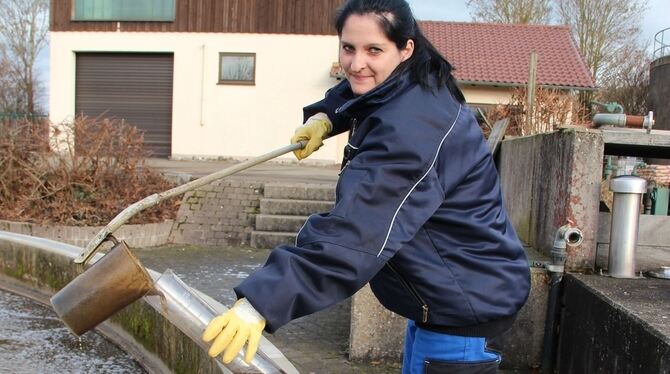 Proben nehmen: Das ist ein Routinegeschäft in der Kläranlage in Oberstetten. Sandra Haug, die zusammen mit ihrem Kollegen Manfre