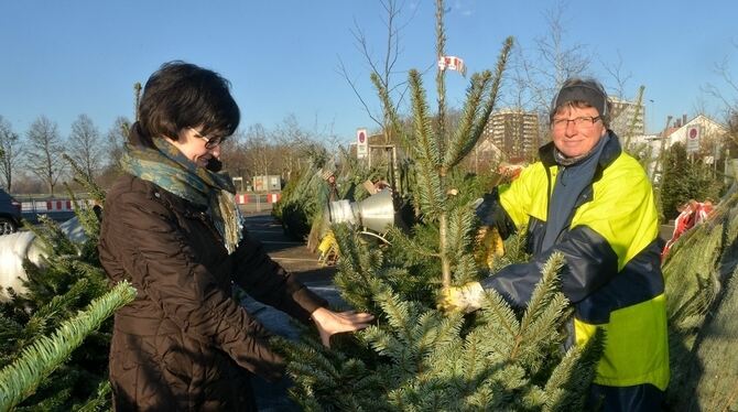 Die Kreuzeiche grünt: Christbaumverkäuferin Hella Fischer (rechts) und ihre Kollegen bieten hier noch bis Heiligmorgen überwiege