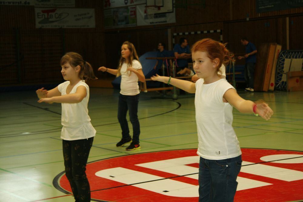 VfL-Turngala in Pfullingen 2013