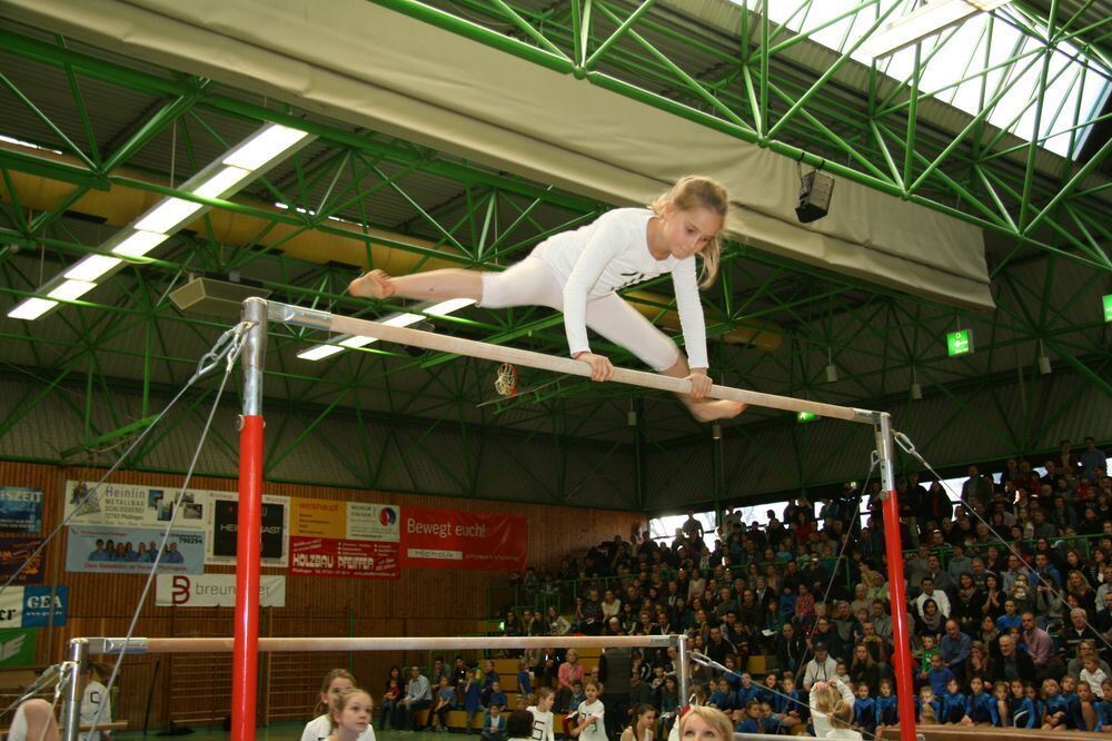 VfL-Turngala in Pfullingen 2013