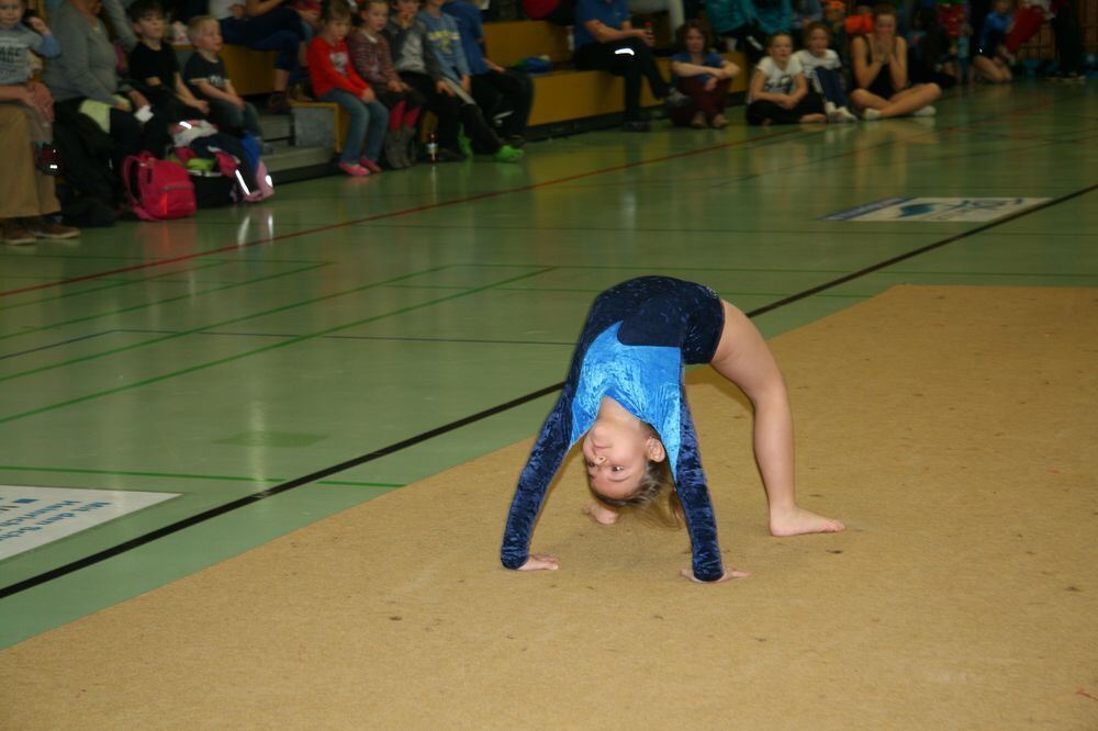 VfL-Turngala in Pfullingen 2013