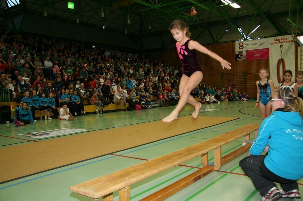 VfL-Turngala in Pfullingen 2013