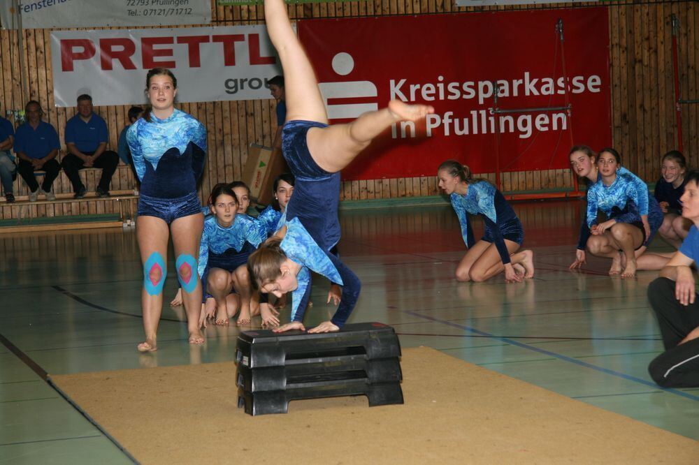 VfL-Turngala in Pfullingen 2013