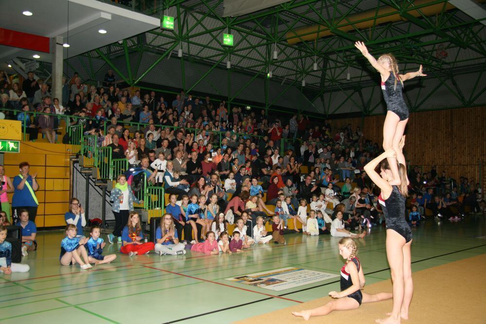 VfL-Turngala in Pfullingen 2013