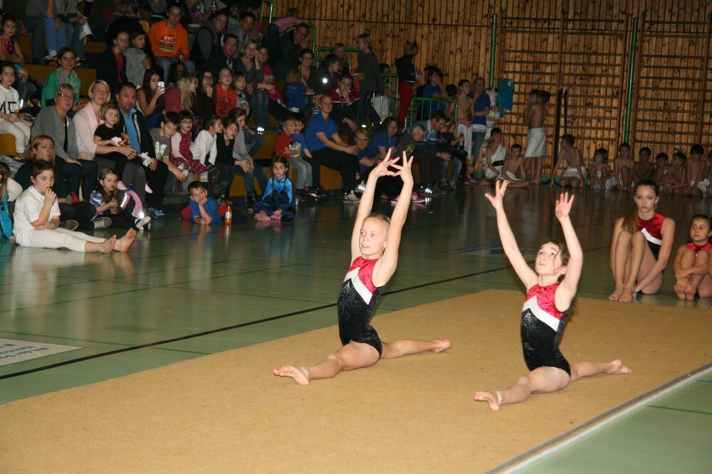 VfL-Turngala in Pfullingen 2013