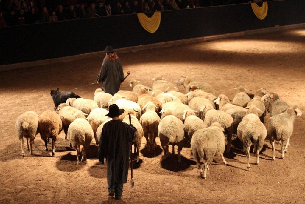 Lebendige Bilder zur Weihnacht 2013