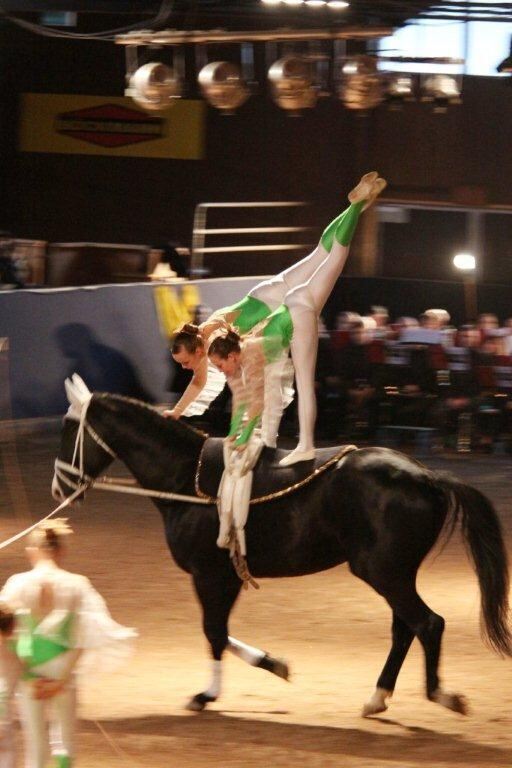 Lebendige Bilder zur Weihnacht 2013