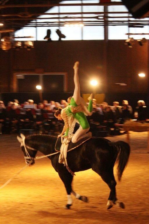 Lebendige Bilder zur Weihnacht 2013