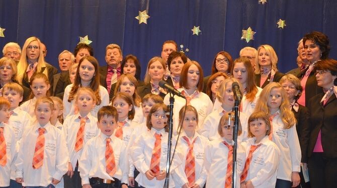 Eine gelungene Mischung aus Weihnachtsliedern und Schlagern gab es bei der Jahresfeier des Liederkranzes Walddorf. FOTO: SANDER