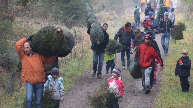 Mit großer Beute ins kleine Auto: Nach dem Fällen der Bäume im Ofterdinger Wald war der Abtransport manchmal der schwierigere Te