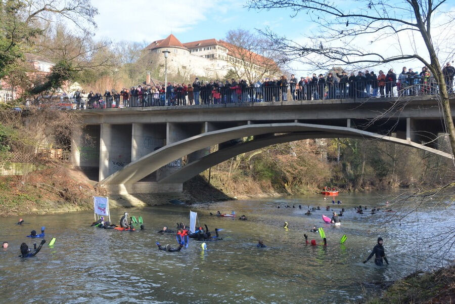 Neckarabschwimmen in Tübingen