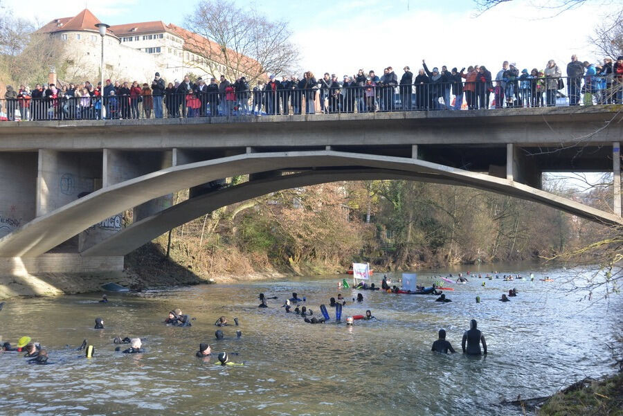 Neckarabschwimmen in Tübingen